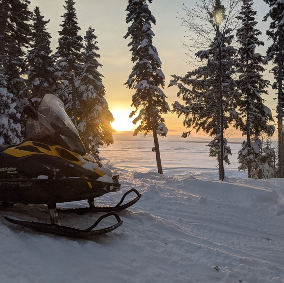 Meet your Posher, Brendan - Picture 1 of 1